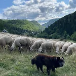Horska Cervena Skala