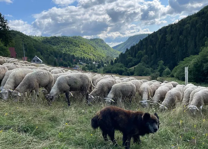 Horska Cervena Skala